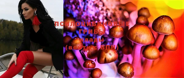 мяу мяу мука Абдулино