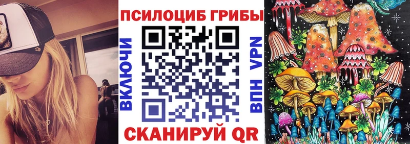 Галлюциногенные грибы Magic Shrooms  МЕГА зеркало  Истра  цена  