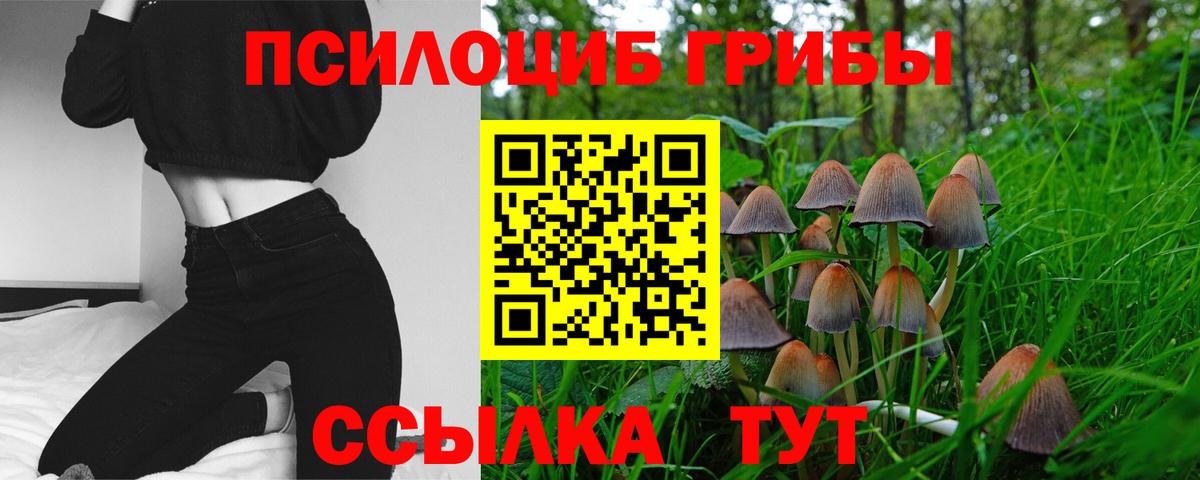 Истра  Псилоцибиновые грибы GOLDEN TEACHER  Вход с VPN  Галлюциногенные грибы GOLDEN TEACHER 