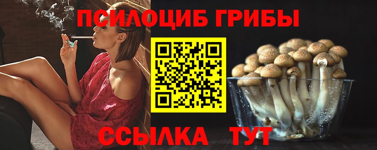 Псилоцибиновые грибы Psilocybe Истра