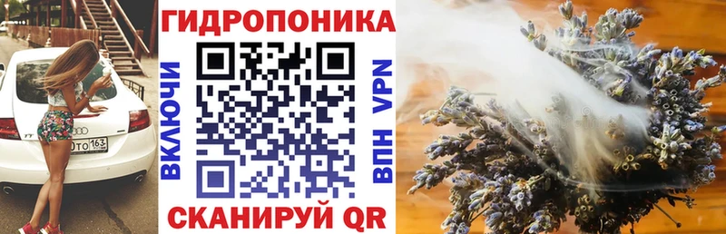 кракен ССЫЛКА  Истра  МАРИХУАНА OG Kush 